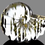 ammonite