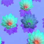 bloom