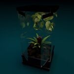 vivarium