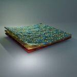 mycolayers