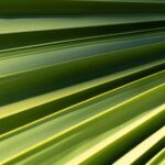 unsplash contributions